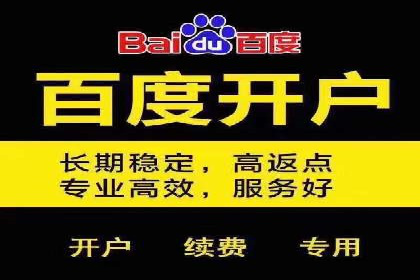 SEO关键词优化：某品牌逆袭的案例解析